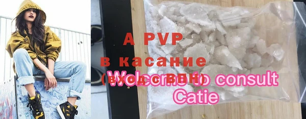 шишки Алзамай