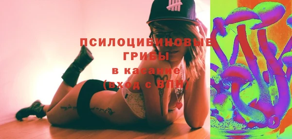 винт Абаза
