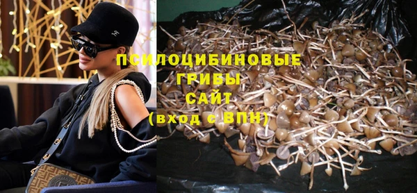 гидра Абдулино
