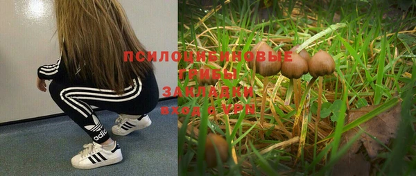 гидра Абдулино
