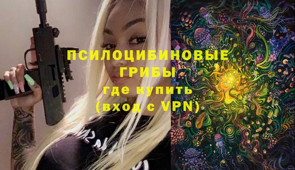 винт Абаза