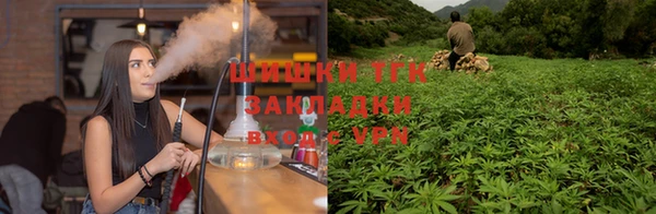винт Абаза