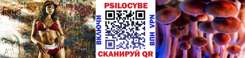 Галлюциногенные грибы Psilocybine cubensis Усть-Илимск